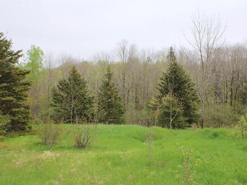 Lot 1 Shaw Road, Clementsport, NS 