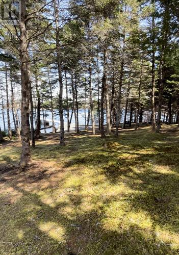 9 Dock Point Street, Marystown, NL - Outdoor With View
