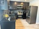 373 Iberville Street, Ottawa, ON  - Indoor Photo Showing Kitchen With Upgraded Kitchen 