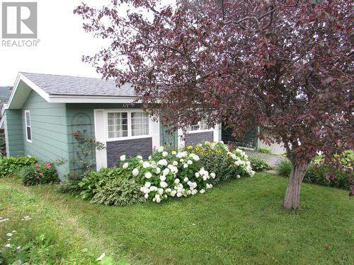 8 Allens Road, Corner Brook, NL - Outdoor