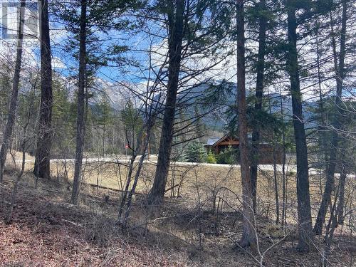 Lot 22 Eaglebrook  Court, Fairmont Hot Springs, BC 