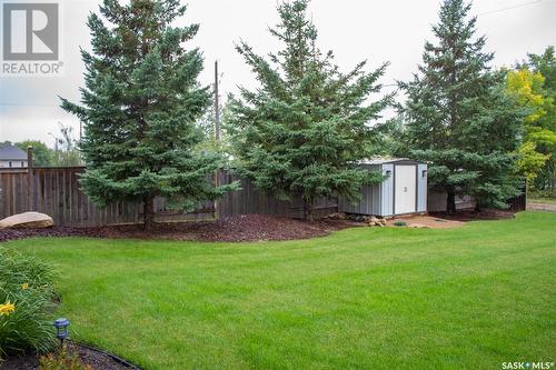 209 4Th Avenue S, St. Brieux, SK - Outdoor With Backyard