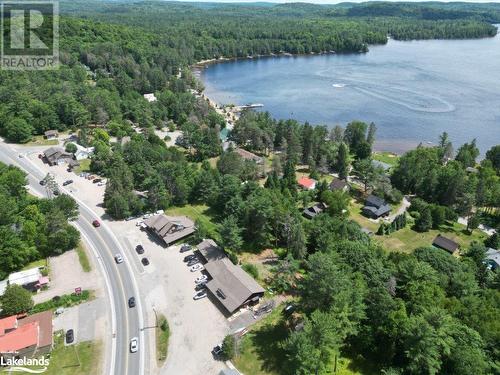 Lake of Bays just steps away - 2832 Highway 60, Dwight, ON 
