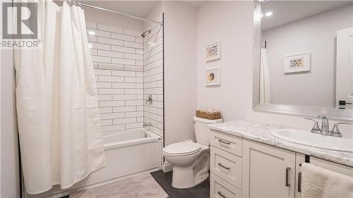 Upstairs full bath - 1074 Barrett Chute Road, Calabogie, ON - Indoor Photo Showing Bathroom