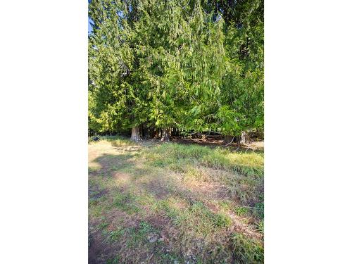 16465 Wadds Road, Crawford Bay, BC - Outdoor