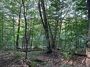 Land/Lot - Rue De Lucerne, Montcalm, QC 