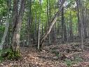 Land/Lot - Rue De Lucerne, Montcalm, QC 