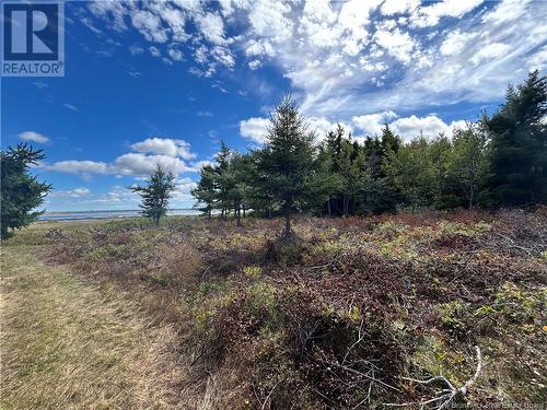 Lot Olivier Road, Maisonnette, NB 