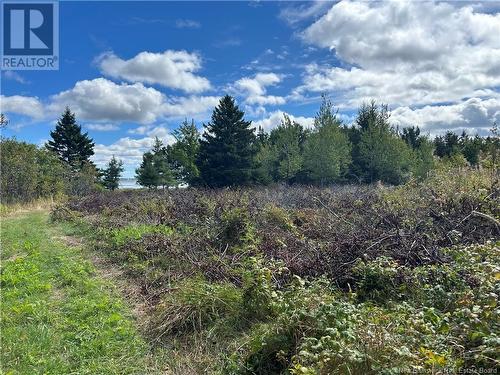 Lot Olivier Road, Maisonnette, NB 