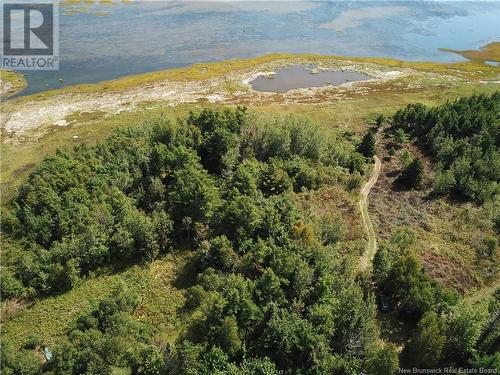 Lot Olivier Road, Maisonnette, NB 