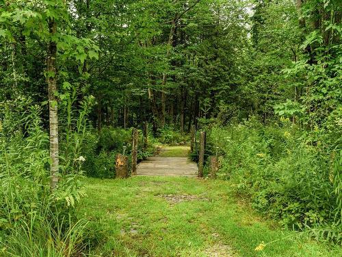 Wooded area - 3160 Ch. Rhéaume, Sherbrooke (Brompton/Rock Forest/Saint-Élie/Deauville), QC - Outdoor
