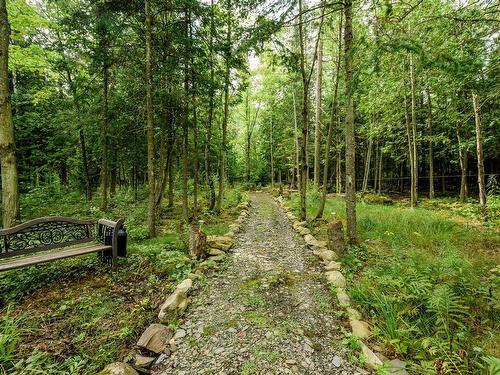 Wooded area - 3160 Ch. Rhéaume, Sherbrooke (Brompton/Rock Forest/Saint-Élie/Deauville), QC - Outdoor