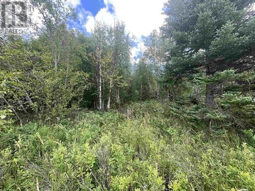 Lot 16 Hudson Bay Mountain Road, Smithers, BC 
