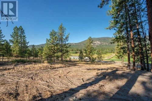 501 Fish Lake Road, Summerland, BC - Outdoor With View