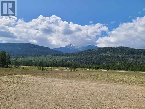 2 5700 Crooked Creek Road, Valemount, BC 