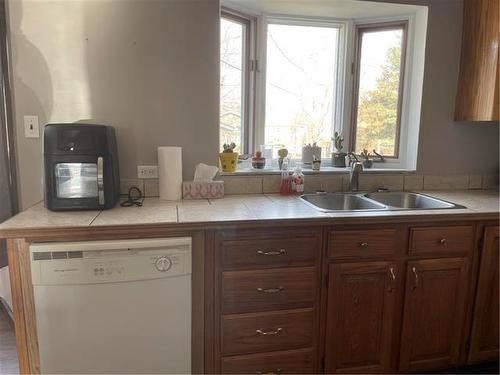 416 10Th Avenue N, Swan River, MB - Indoor Photo Showing Kitchen With Double Sink