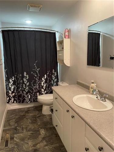 416 10Th Avenue N, Swan River, MB - Indoor Photo Showing Bathroom
