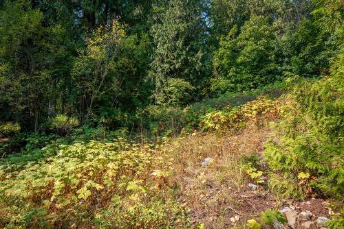 2009 Happy Valley Road, Rossland, BC 