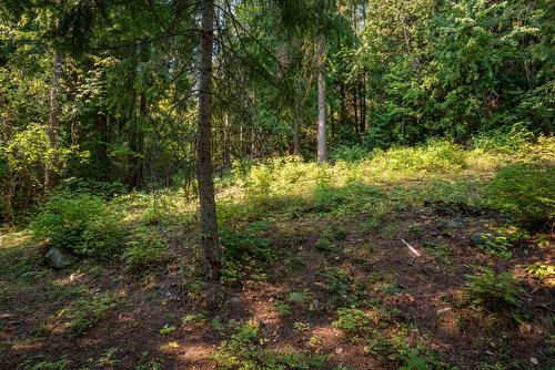 2009 Happy Valley Road, Rossland, BC 