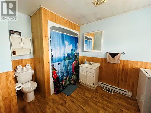 43 Earle Street, Grand Falls - Windsor, NL - Indoor Photo Showing Bathroom