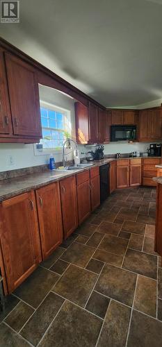 411A Main Street, St George'S, NL - Indoor Photo Showing Kitchen With Double Sink