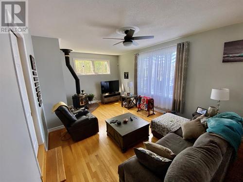 61 Kings Hill Road, Milltown, NL - Indoor Photo Showing Living Room