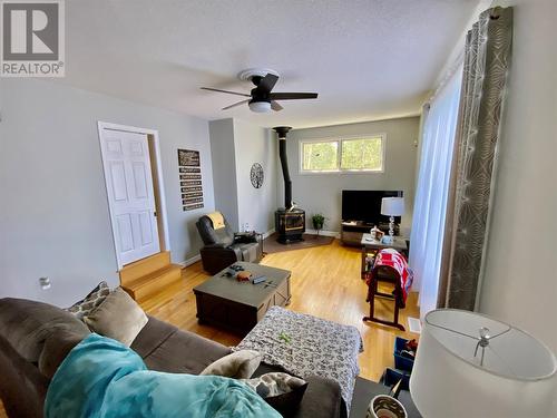 61 Kings Hill Road, Milltown, NL - Indoor Photo Showing Living Room