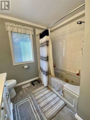 61 Kings Hill Road, Milltown, NL - Indoor Photo Showing Bathroom