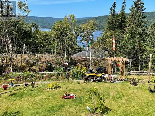 61 Kings Hill Road, Milltown, NL - Outdoor With View
