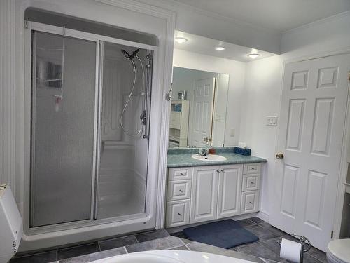 Salle de bains - 2087 Ch. Lakeshore, Saint-Georges-De-Clarenceville, QC - Indoor Photo Showing Bathroom