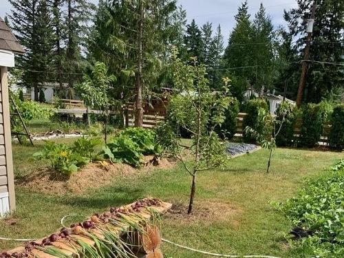 1275 Gaggin Road, Clearwater, BC - Outdoor