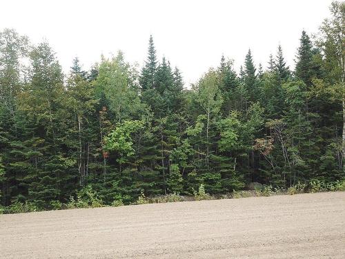 Land/Lot - Ch. Paul-Émile-Borduas, Petite-Rivière-Saint-François, QC 