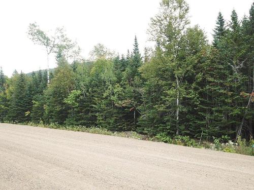 Land/Lot - Ch. Paul-Émile-Borduas, Petite-Rivière-Saint-François, QC 