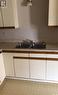63 West Road, Kindersley, SK  - Indoor Photo Showing Kitchen With Double Sink 