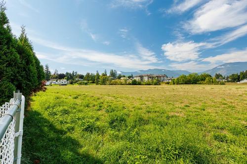 1037 11Th Avenue N, Creston, BC - Outdoor With View