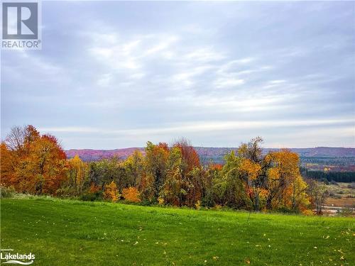 Fall Colours - 4303 Third Line N, Hillsdale, ON - Outdoor With View