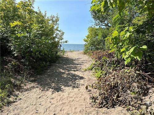 Path to beach - 46A Beckley Line, Lowbanks, ON - Outdoor With View