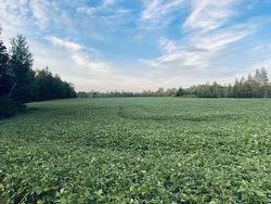 Lot Seven Mile Road  Cardross, PE C0A 1G0