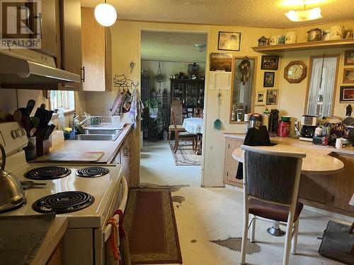 4065 Mckinley Drive, Lac La Hache, BC - Indoor Photo Showing Kitchen With Double Sink