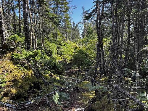 Bald Rock Road, Bald Rock, NS 