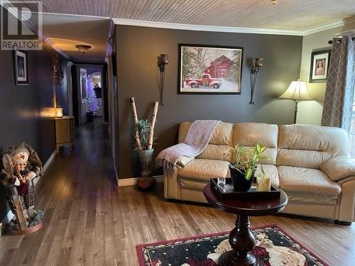 132 Riverside Loop, Barachois Brook, NL - Indoor Photo Showing Living Room