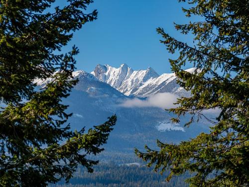 1403 Deer Ridge Road, Golden, BC - Outdoor With View