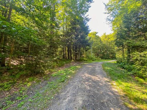 Land/Lot - Ch. Gareau, Grenville-Sur-La-Rouge, QC 