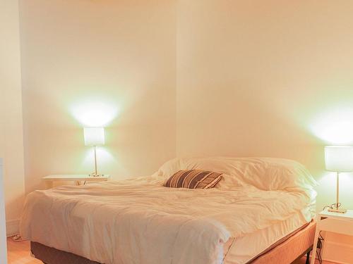 Chambre Ã  coucher principale - 520-4225 Rue St-Dominique, Montréal (Le Plateau-Mont-Royal), QC - Indoor Photo Showing Bedroom
