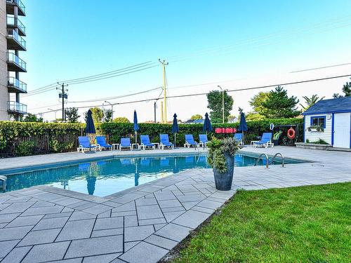 Pool - 307-8145 Boul. St-Laurent, Brossard, QC - Outdoor With In Ground Pool