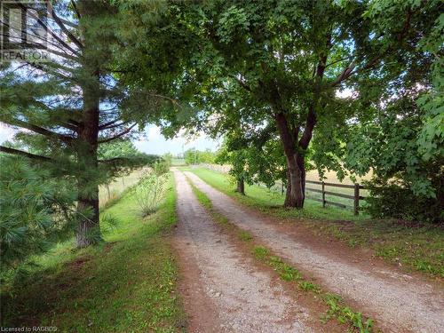 Driving out the lane. - 144106 Sideroad 15, Sydenham, ON 