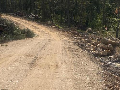 Terre/Terrain - Rue Manon, Saint-Côme, QC 