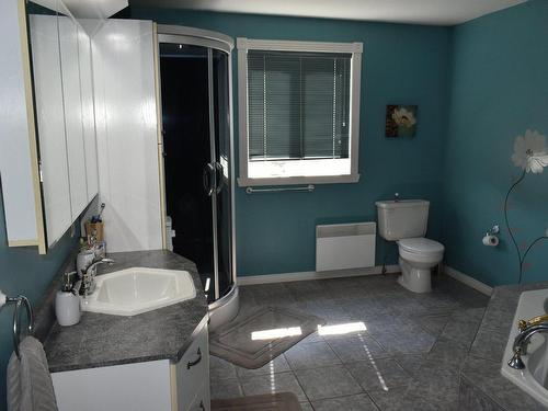 Salle de bains - 2165Z 4E Rang De Simpson, Saint-Cyrille-De-Wendover, QC - Indoor Photo Showing Bathroom