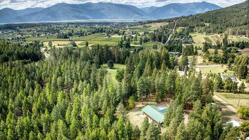 3775 Sylvester Road, Creston, BC - Outdoor With View