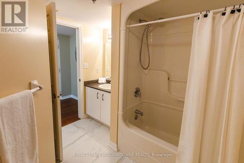 #113 -1450 Bishops Gate, Oakville, ON - Indoor Photo Showing Bathroom